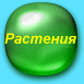 Энциклопедия растений